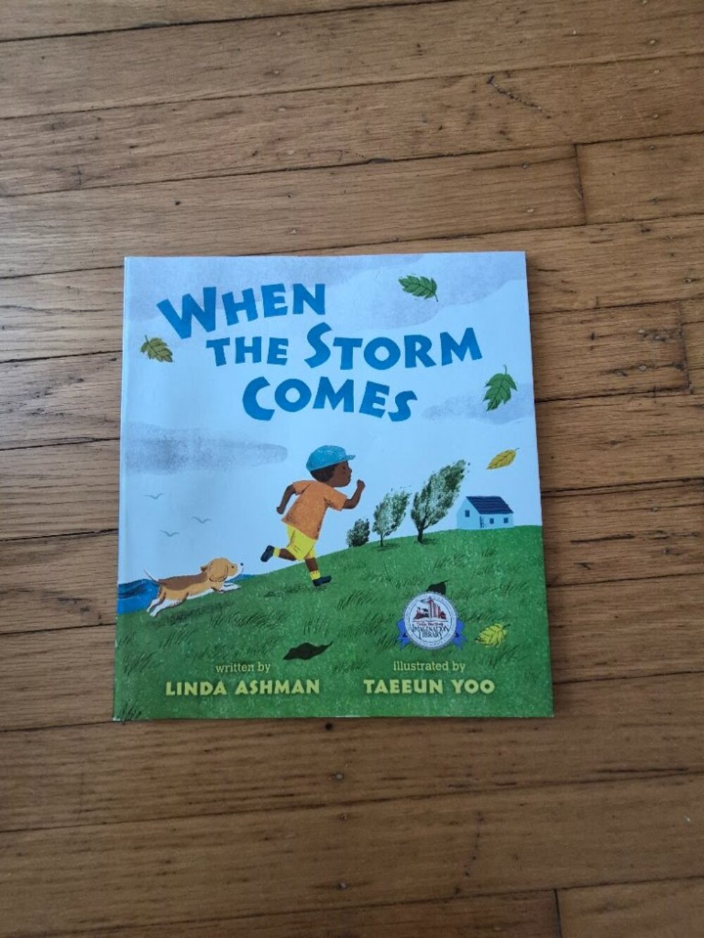 When The Storm Comes Book